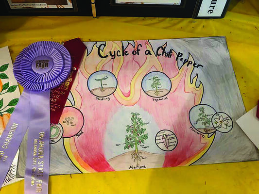Comanche’s Alesha Zibbell won reserve grand champion for her life of a pepper plant poster at EYO in Duncan this past weekend.